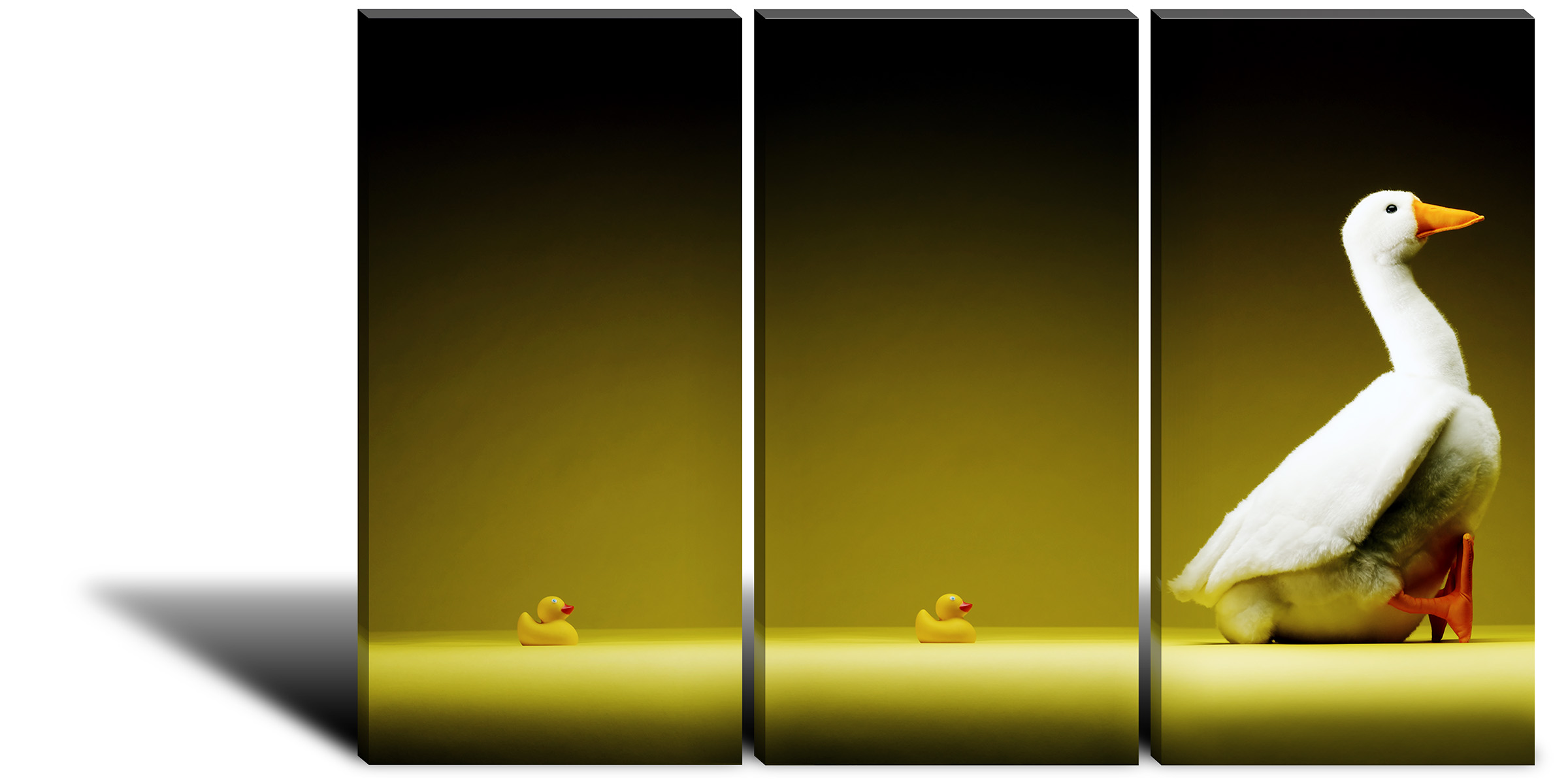 Greg Knott - Duck, Duck, Goose