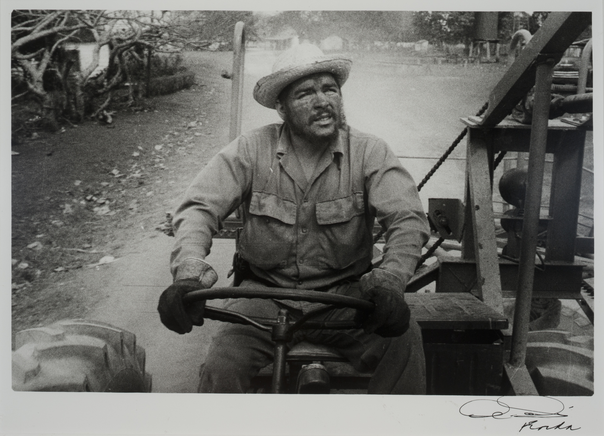 Che Guevara en la Prueba de una Cortadora de Caña (1962) by Korda
